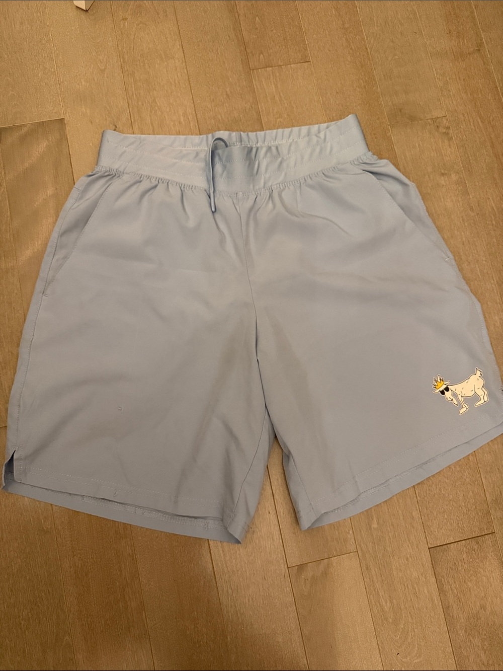 Goat Men's Light Blue Athletic Shorts with Elastic Waist